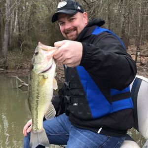 Meet your Posher, Joe